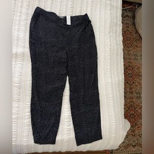 Loft Pants NWT